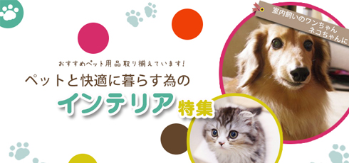 長崎 DIY＆リフォームショップREROOM【ペット特集 滑り止め】